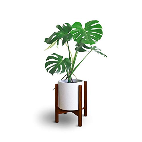 Casual Home Mid-Century Modern, Fit Up to 12", Pot NOT Included Wood Plant Display Stand, Antique Mahogany