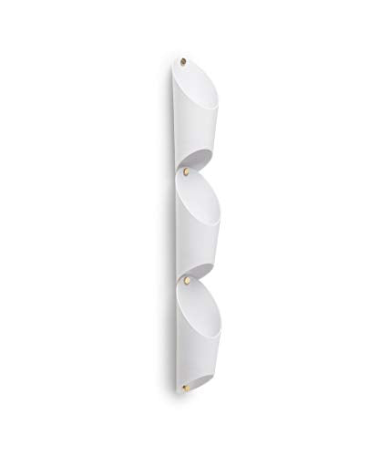 Umbra Floralink, Linking Vessel Air, Hang on Your Wall or from The Ceiling, as Indoor Planters or for Organizing Beauty Tools, Accessories and More, Brass Hardware and White Finish