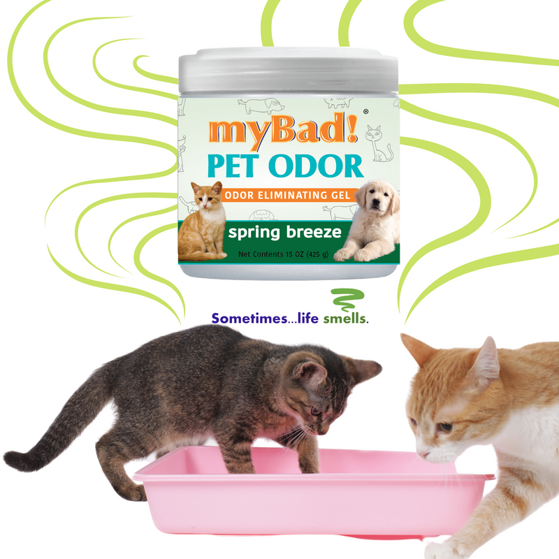 my Bad! Pet Odor Eliminator Gel 15 oz - Spring Breeze (2 PACK),  Air Freshener - Eliminates Odors in Pet Area, Bathroom, Closet, and more