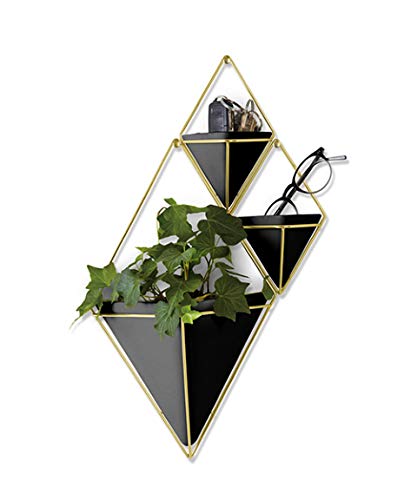 Umbra Trigg Hanging Planter Vase & Geometric Wall Decor Concrete Container - Great For Succulent Plants, Air Plant, Mini Cactus, Faux Plants and More, Set of 2, Small, Black/Brass