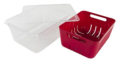 Kitchen Spaces Colander Bin Stackable Food Storage Organizer for Fridge, Freezer, and Pantry, 8.8" x 6.8" x 3.9", Red & Clear