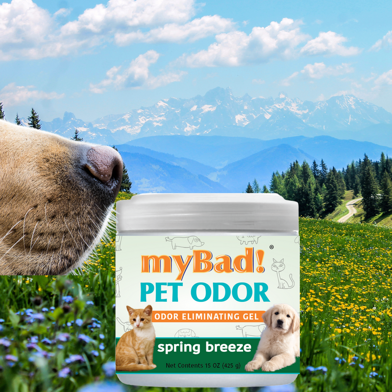 my Bad! Pet Odor Eliminator Gel 15 oz - Spring Breeze (2 PACK),  Air Freshener - Eliminates Odors in Pet Area, Bathroom, Closet, and more