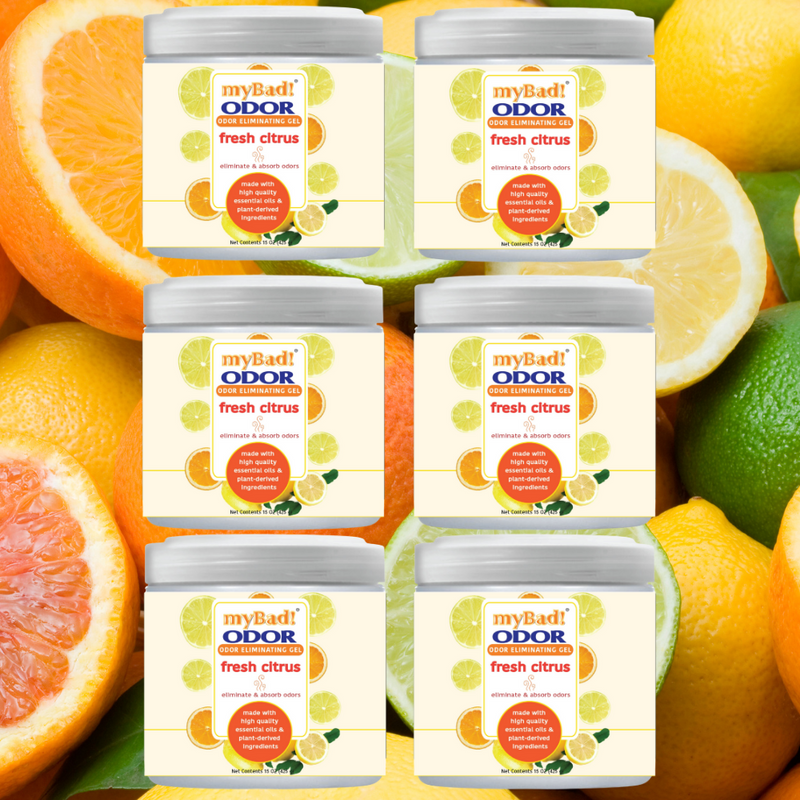 my Bad! Odor Eliminator Gel 15 oz - Fresh Citrus (6 PACK) Air Freshener - Eliminates Odors in Bathroom, Pet Area, Closets
