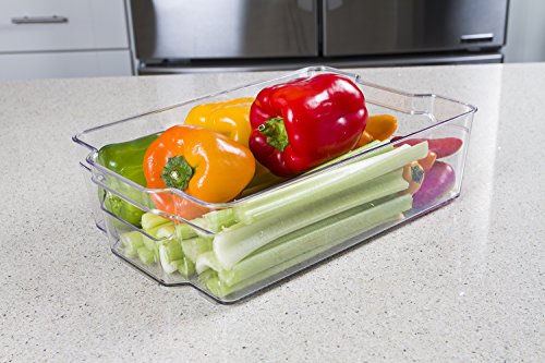 Kitchen Spaces Large Bin Food Storage Organizer for Fridge and Pantry, 14.1" x 8.4" x 3.9", Clear