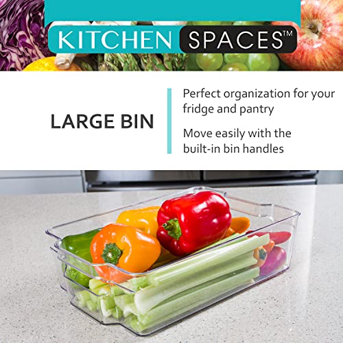 Kitchen Spaces Large Bin Food Storage Organizer for Fridge and Pantry, 14.1" x 8.4" x 3.9", Clear