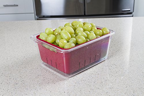 Kitchen Spaces Colander Bin Stackable Food Storage Organizer for Fridge, Freezer, and Pantry, 8.8" x 6.8" x 3.9", Red & Clear
