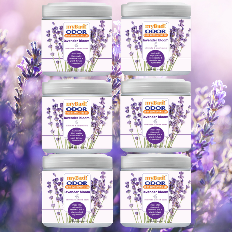 my Bad! Odor Eliminator Gel 15 oz - Lavender Bloom (6 PACK) Air Freshener - Eliminates Odors in Bathroom, Pet Area, Closets