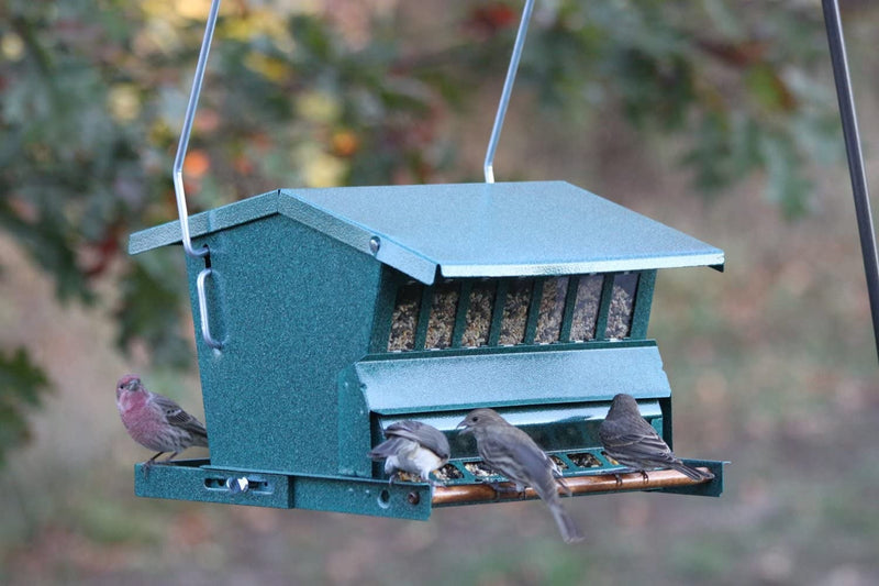 Woodlink Absolute Squirrel Resistant Bird Feeder Model 7533