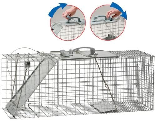 Havahart 1085 Easy Set One-Door Cage Trap for Raccoons, Stray Cats, Groundhogs, Opossums, and Armadillos