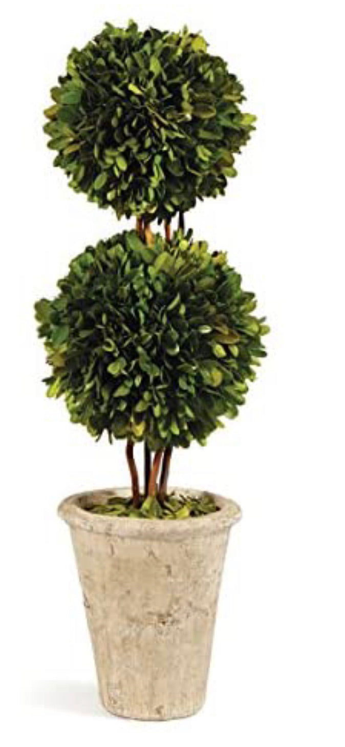 Preserved Boxwood Double Sphere Topiary, 20-Inch