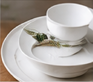 Dinnerware for Everyday Meals and Entertaining
