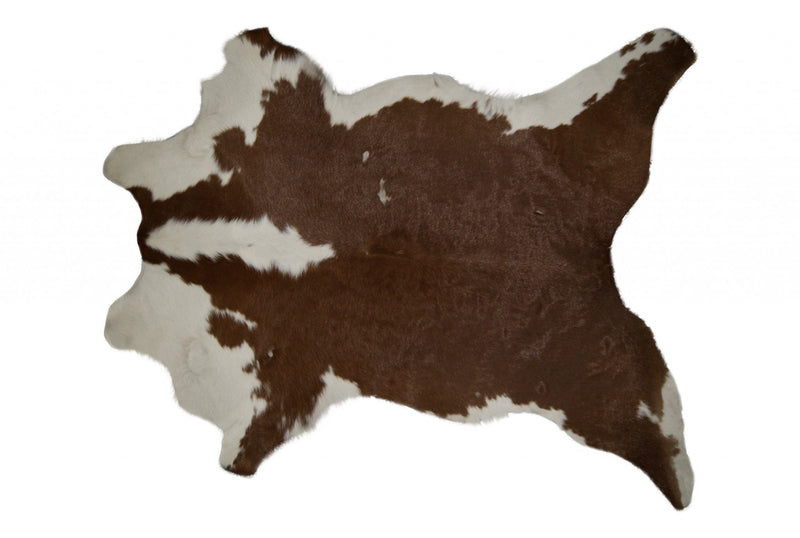 Home Outfitters 2&