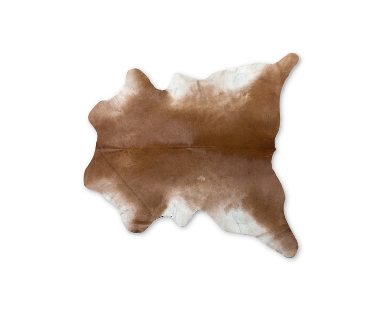 Home Outfitters 2&