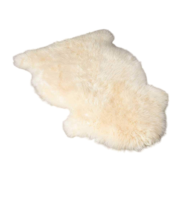 Home Outfitters 6&
