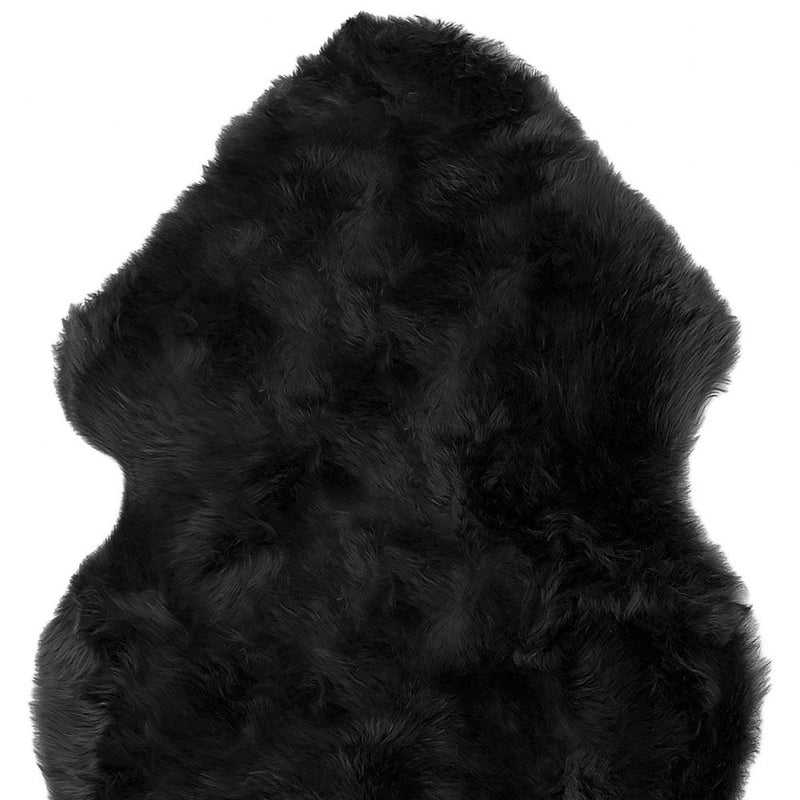 Home Outfitters 2&