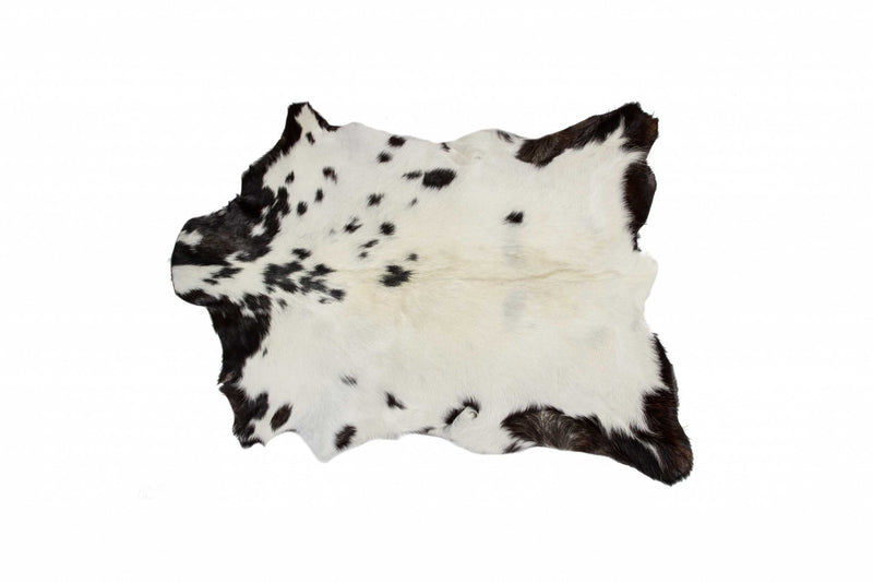 Home Outfitters 2&