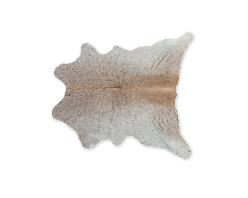 Home Outfitters 6&