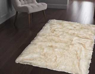 Home Outfitters 2' X 3' Brown And White Shag Area Rug