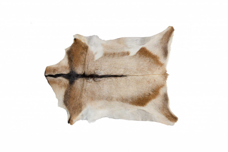 Home Outfitters 2&