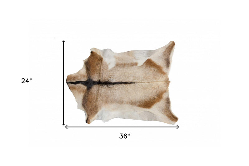 Home Outfitters 2&