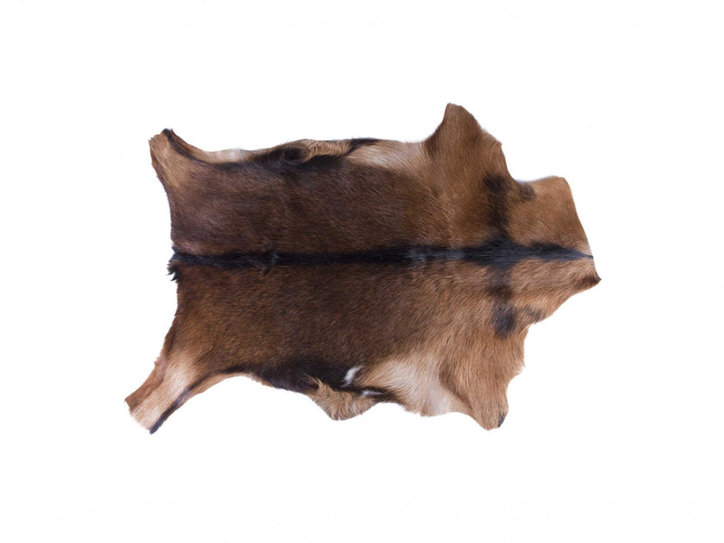 Home Outfitters 2&