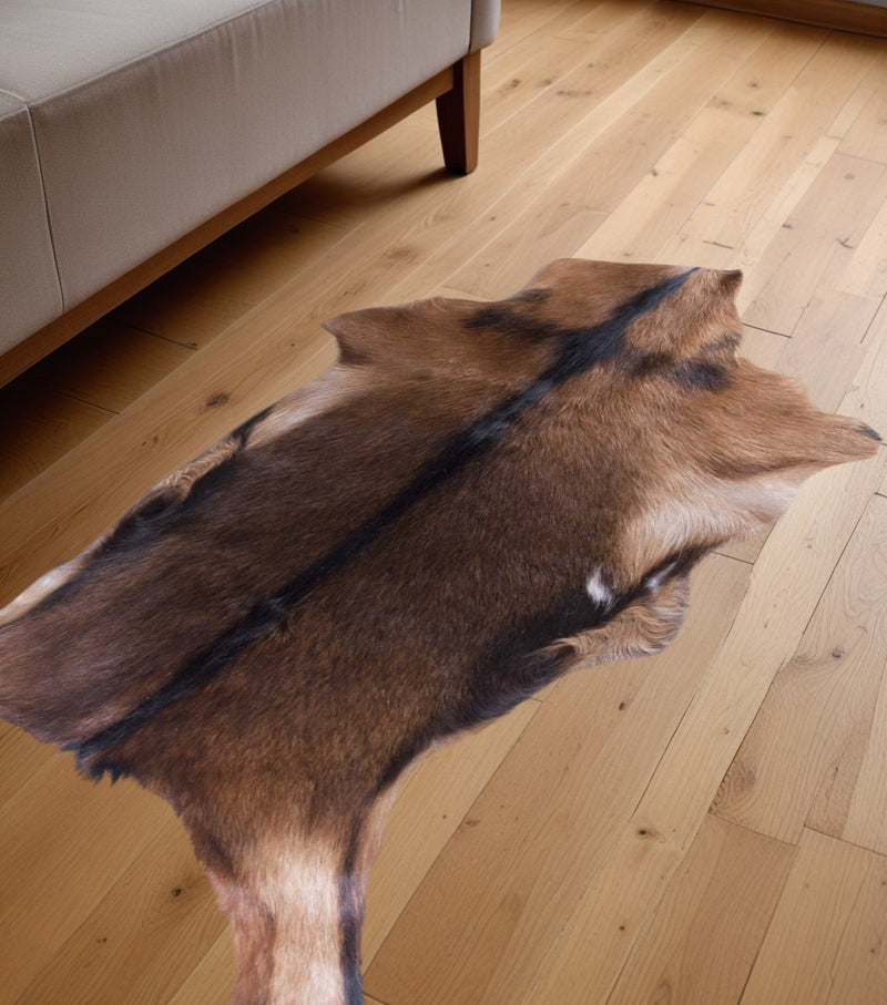 Home Outfitters 2&