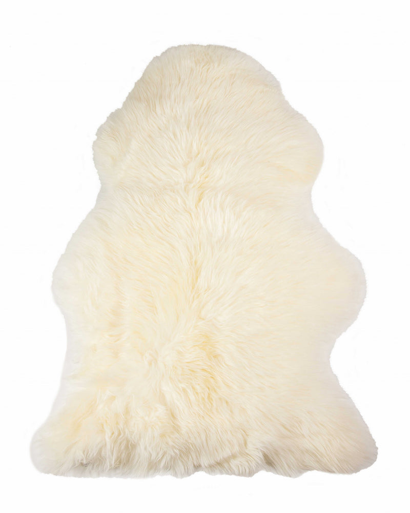 Home Outfitters 6&