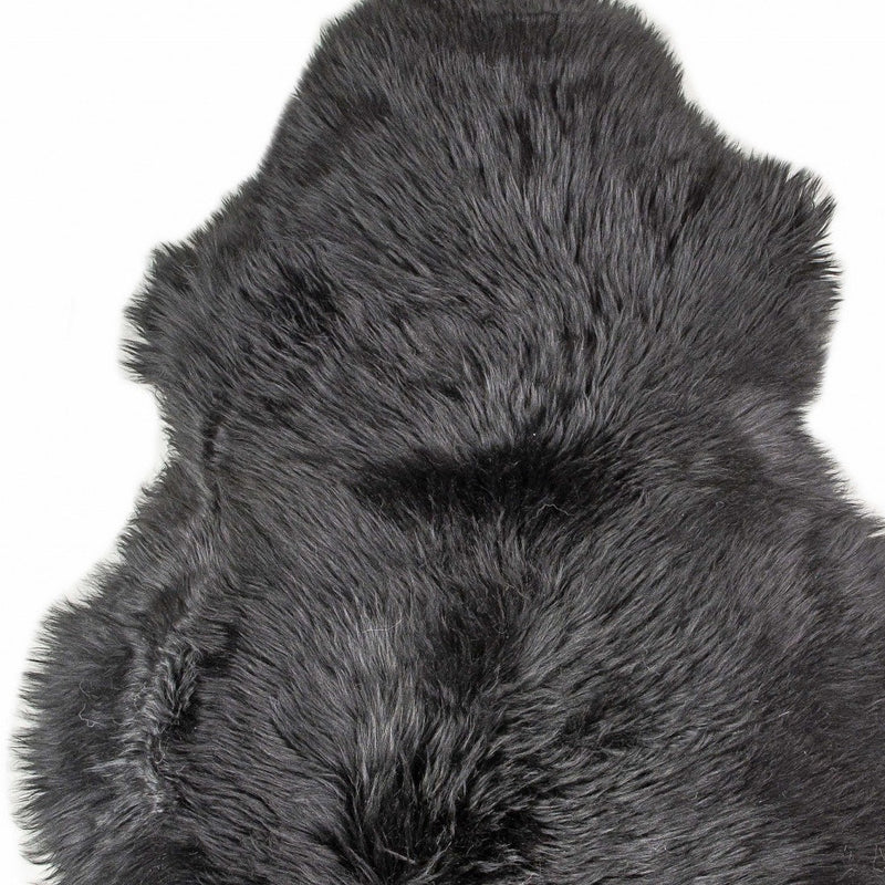 Home Outfitters 2&