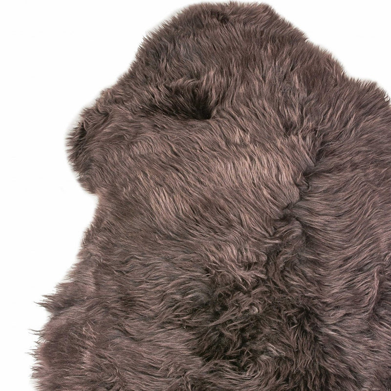 Home Outfitters 6&