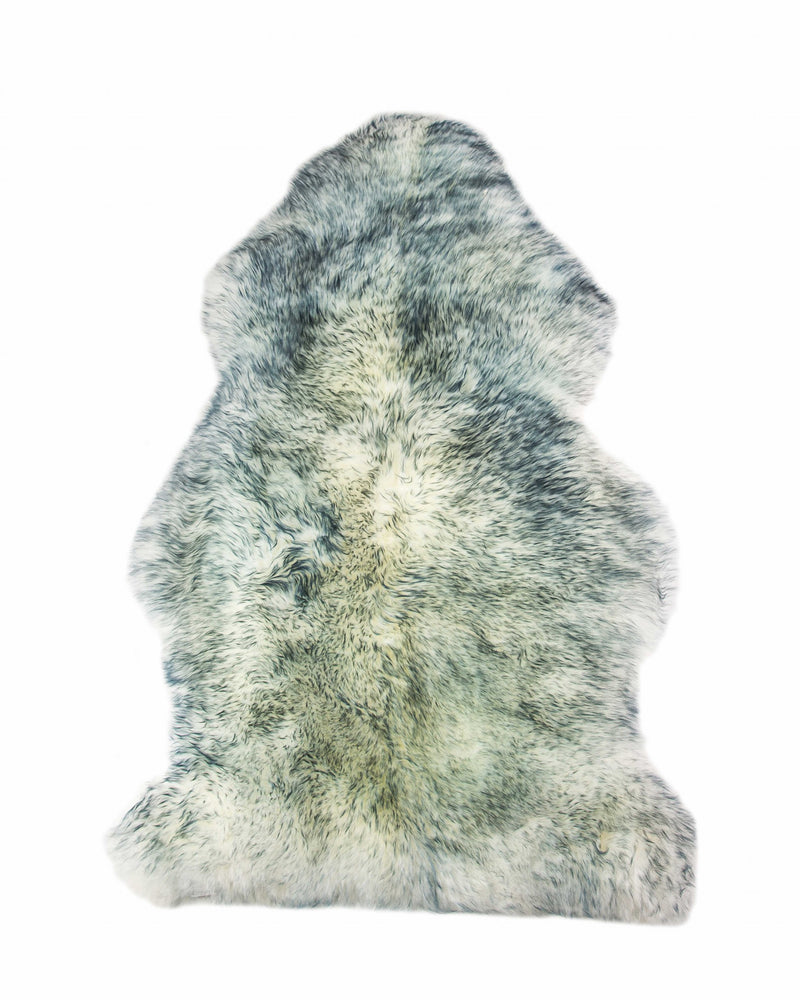 Home Outfitters 6&
