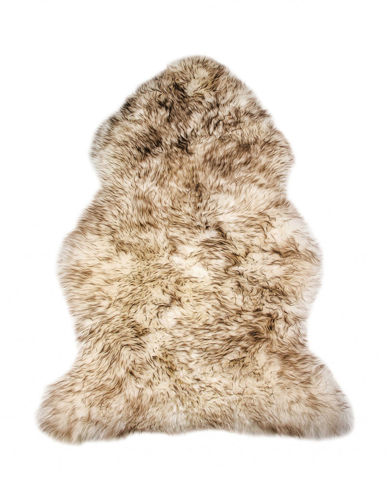 Home Outfitters 2&