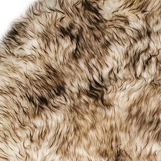 Home Outfitters 2' X 3' Cream Shag Area Rug