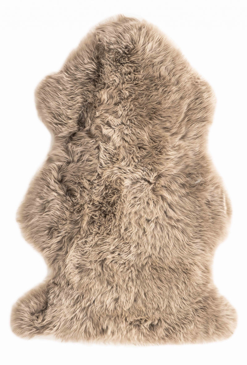 Home Outfitters 6&
