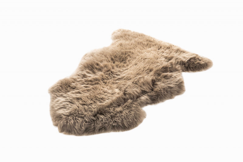 Home Outfitters 6&