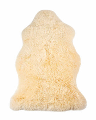 Home Outfitters 2' X 3' Beige Shag Area Rug