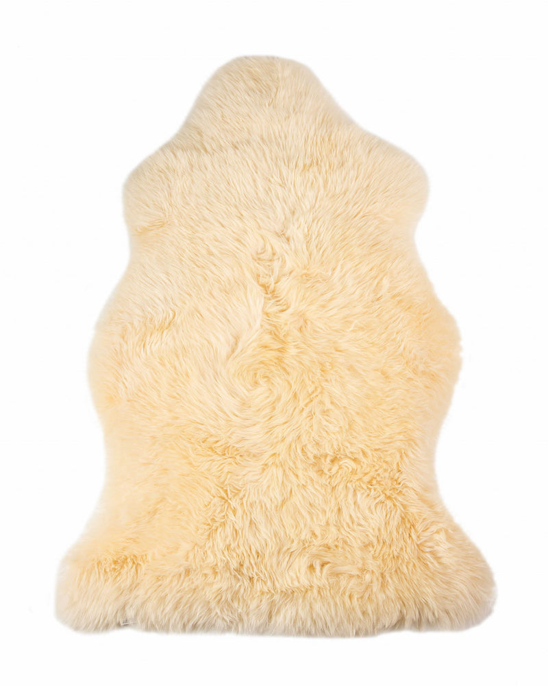 Home Outfitters 2&