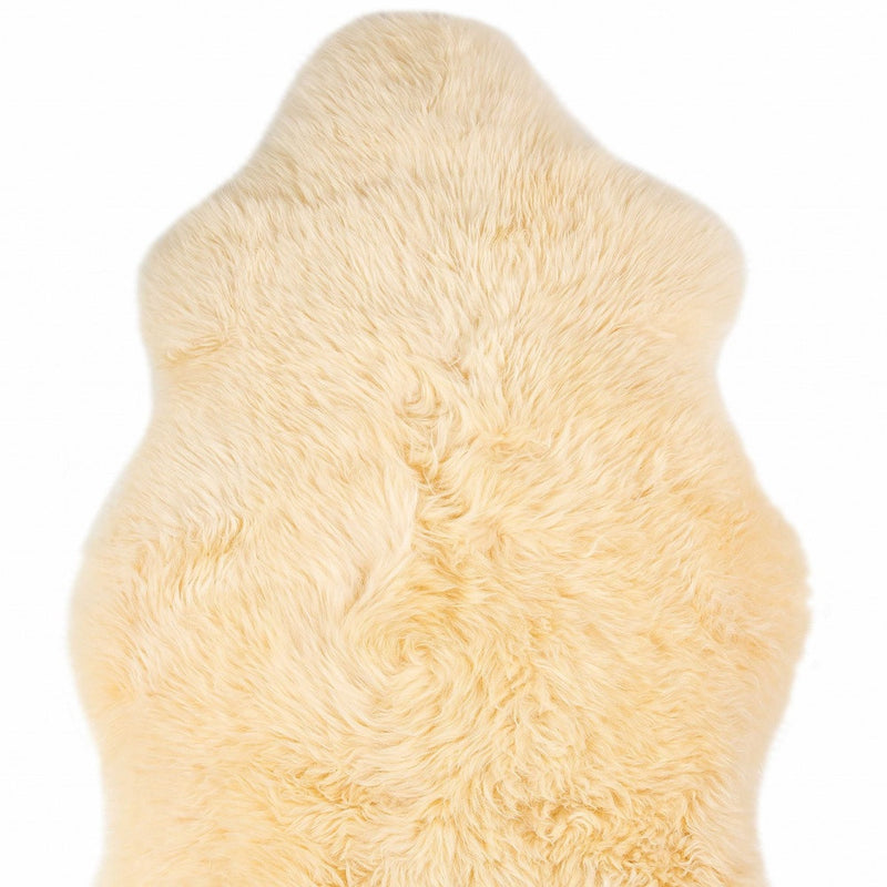 Home Outfitters 2&
