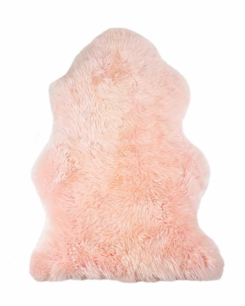 Home Outfitters 6&