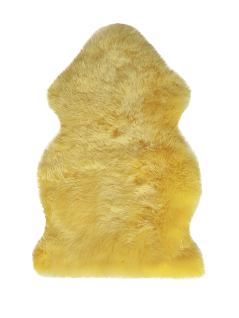 Home Outfitters 6&