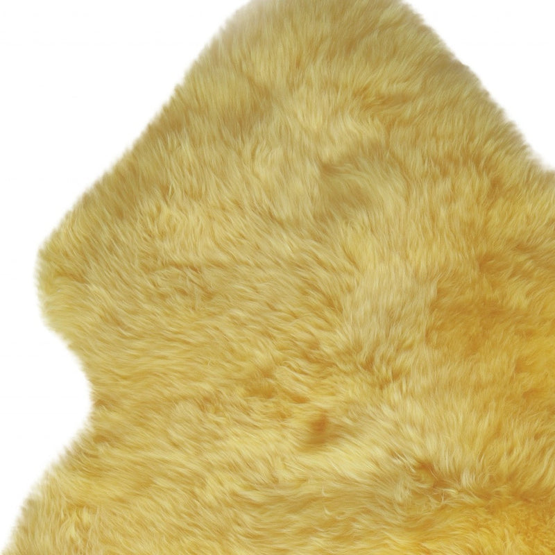 Home Outfitters 6&
