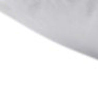 Set of Two Down Alternative Firm King Size Bed Pillows