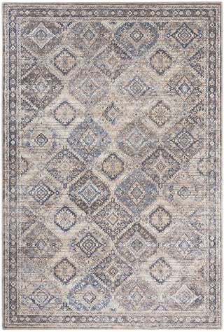Home Outfitters 4' X 6' Ivory Latte Oriental Power Loom Distressed Washable Area Rug