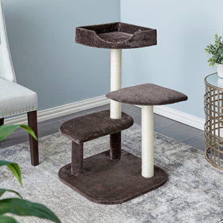 TWO by TWO Ficus