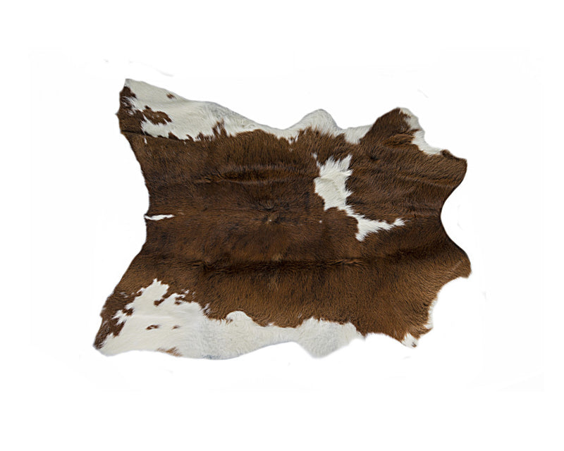 Home Outfitters 2&