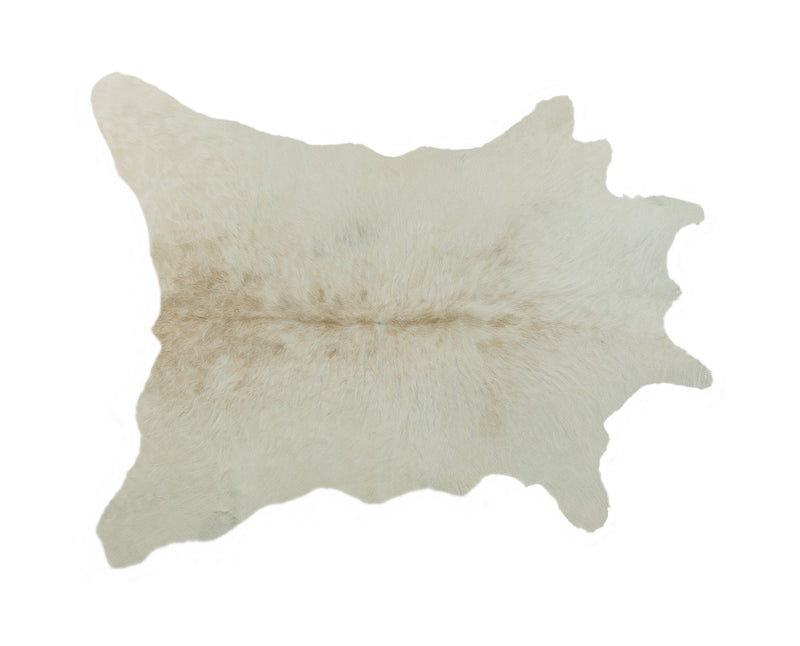 Home Outfitters 2&