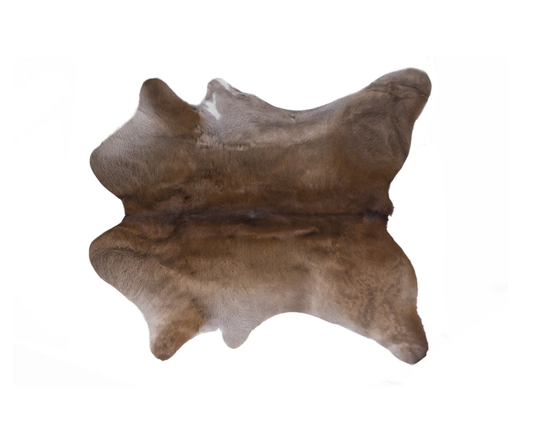 Home Outfitters 2&