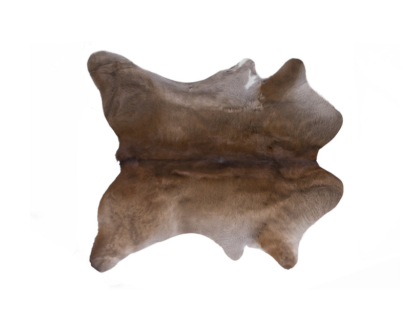 Home Outfitters 2&