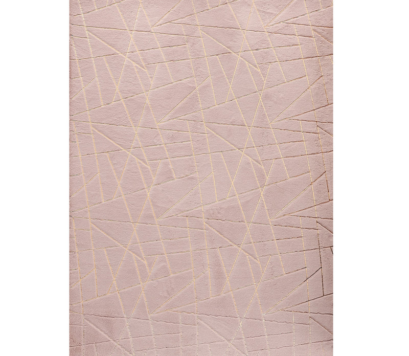 Home Outfitters 6&