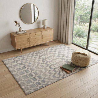 Home Outfitters 4' X 6' Gray and Beige Checkered Distressed Area Rug