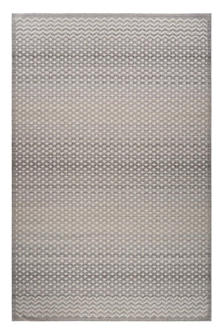 Home Outfitters 4' X 6' Gray and Beige Moroccan Distressed Area Rug